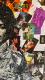 THE LIFE OF PRINCE