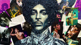 THE LIFE OF PRINCE